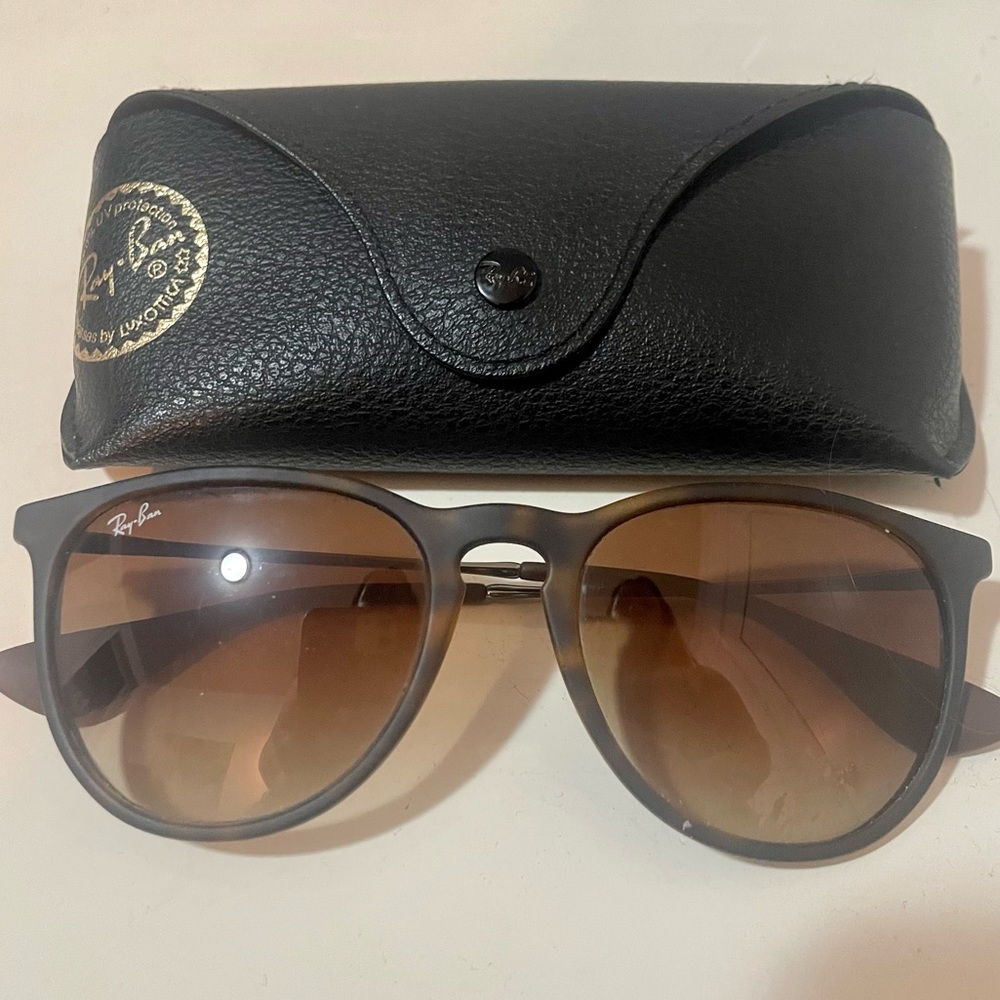 Ray-Ban Erika Sunglasses
